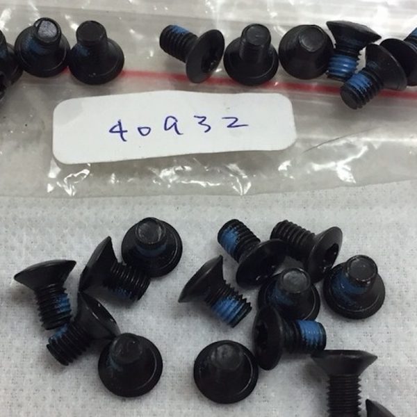 Torx Screws