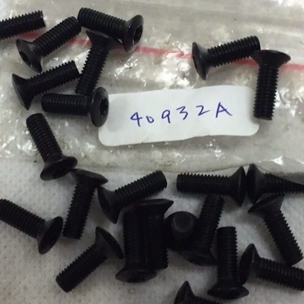 Torx Screws